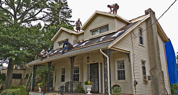 Best Local Roofing Companies  in Hurley, MS
