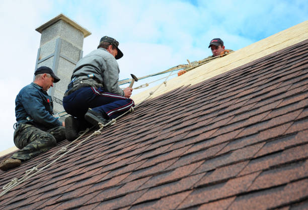 Best Sealant for Roof  in Hurley, MS